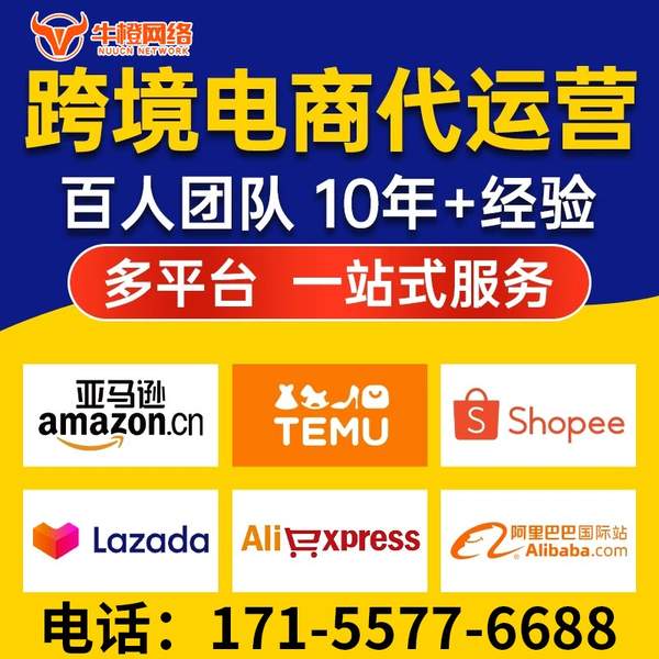 博尔塔拉电商代运营