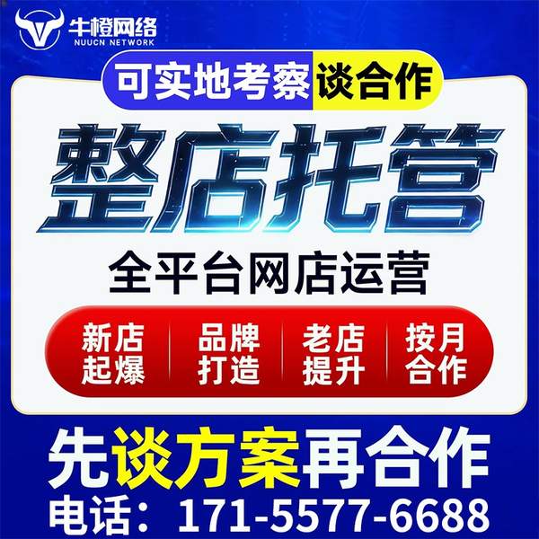 博尔塔拉电商代运营