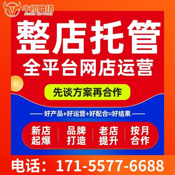 博尔塔拉电商代运营