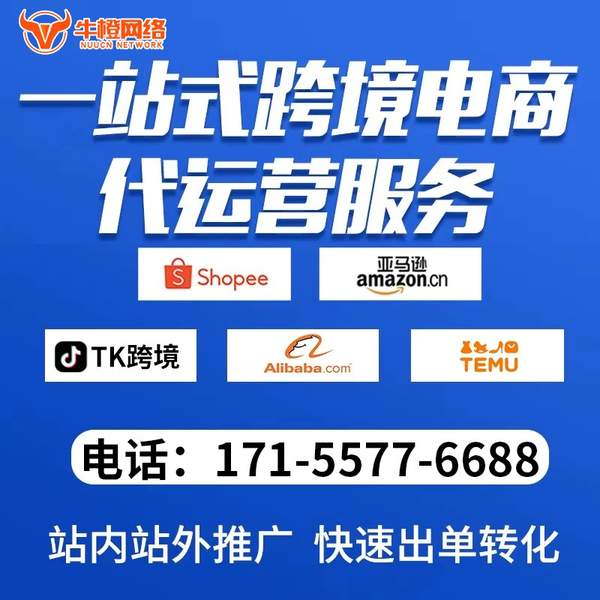 博尔塔拉电商代运营