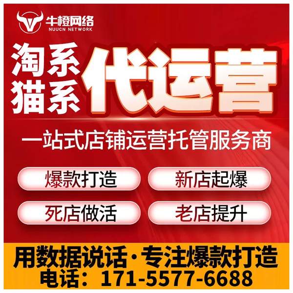 博尔塔拉电商代运营
